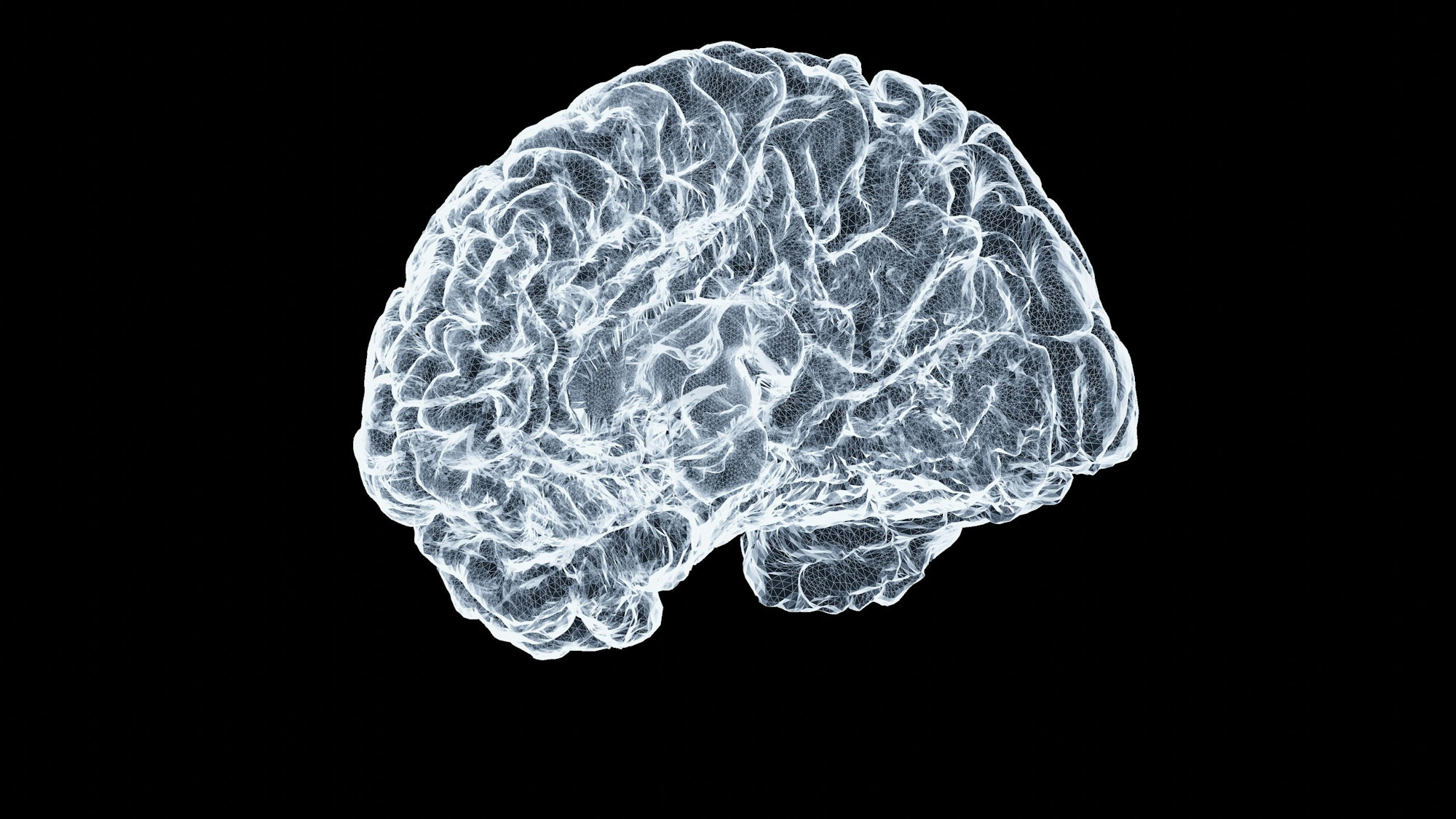 a-close-up-of-a-human-brain-on-a-black-background.jpg a close up of a human brain on a black background
